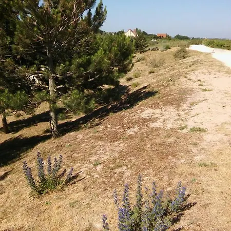 Mon Repos 公寓 *